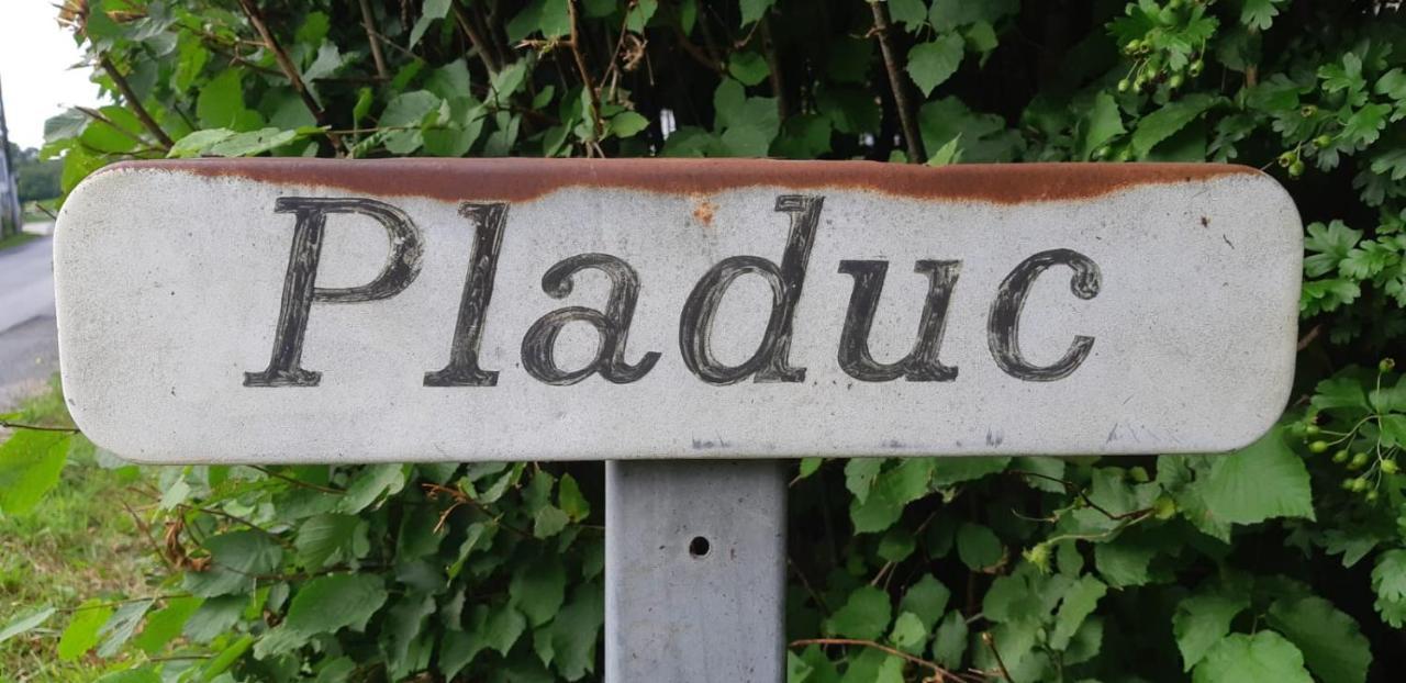 Domaine De Pladuc Bed & Breakfast Lachaise Eksteriør bilde