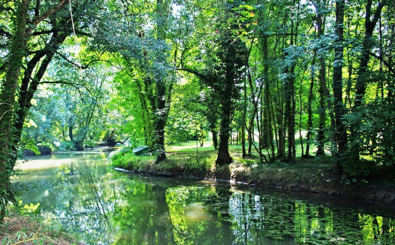 Domaine De Pladuc Bed & Breakfast Lachaise Eksteriør bilde