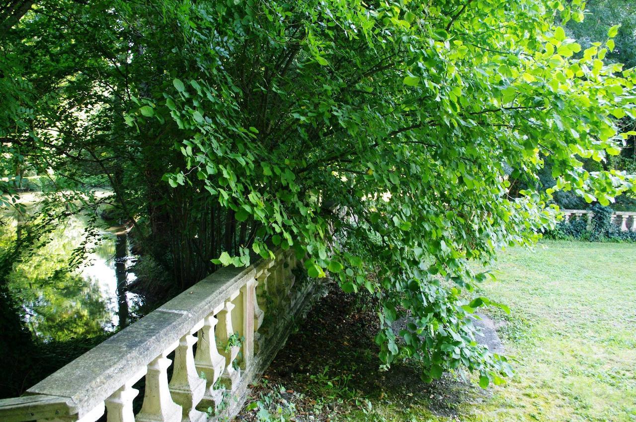Domaine De Pladuc Bed & Breakfast Lachaise Eksteriør bilde